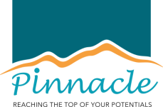 Pinnacle LTD Logo